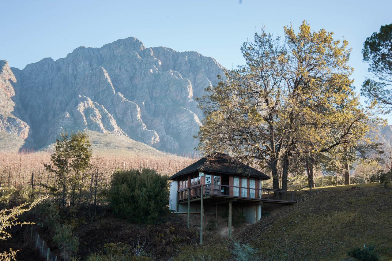 Pensjonat Tulbagh Mountain Manor Kapsztad Zewnętrze zdjęcie