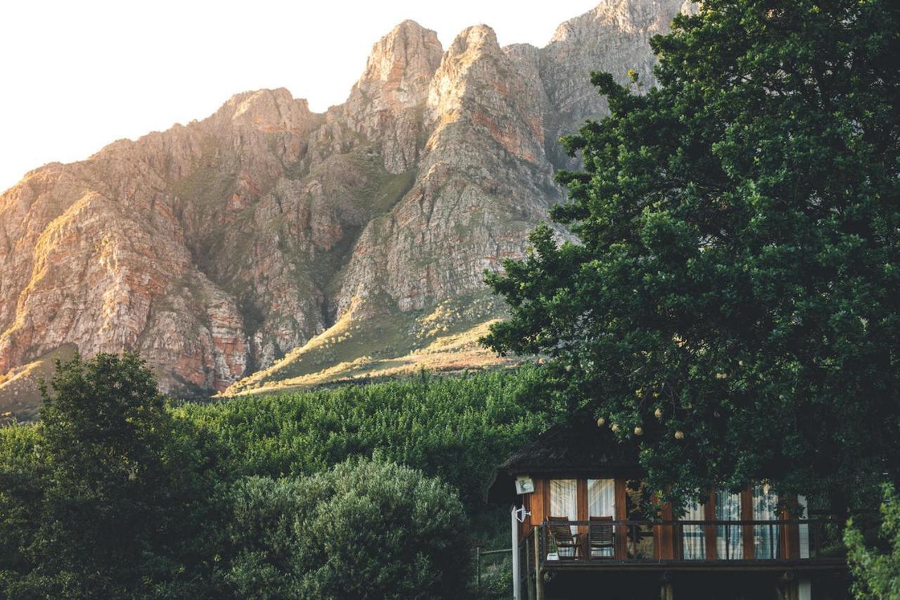 Pensjonat Tulbagh Mountain Manor Kapsztad Zewnętrze zdjęcie